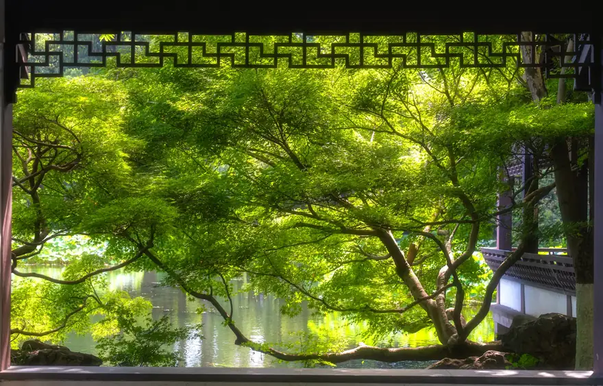杭州 · 第 7 张照片