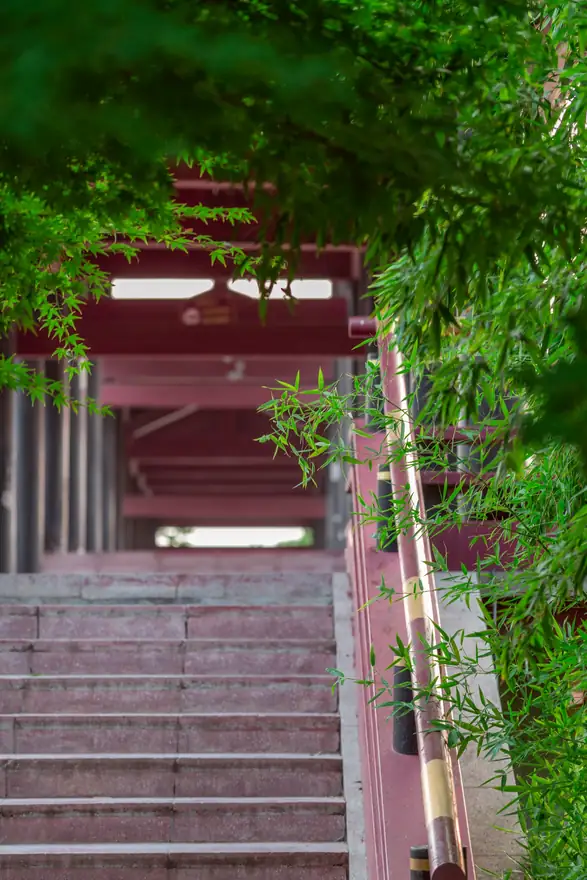 邳州 · 第 16 张照片