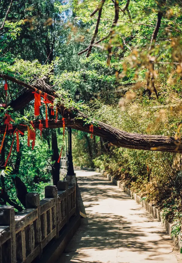 泰山 · 第 1 张照片
